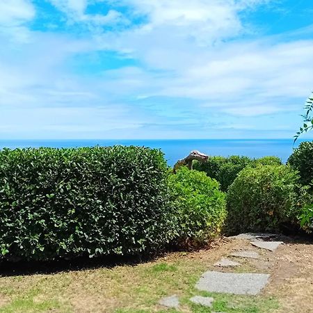 Faial Cottage B&B Cedros Exteriér fotografie