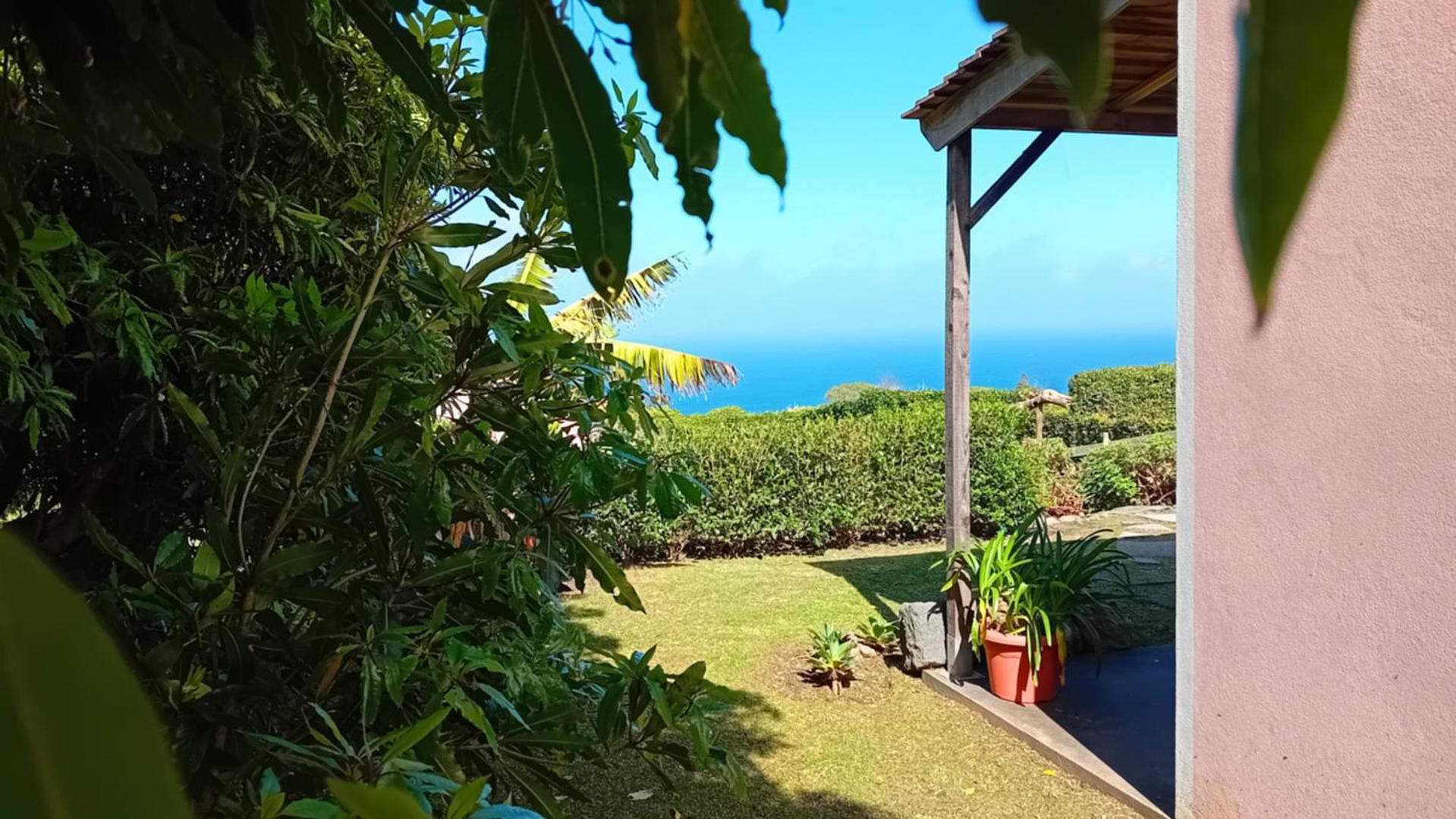 Faial Cottage B&B Cedros Exteriér fotografie