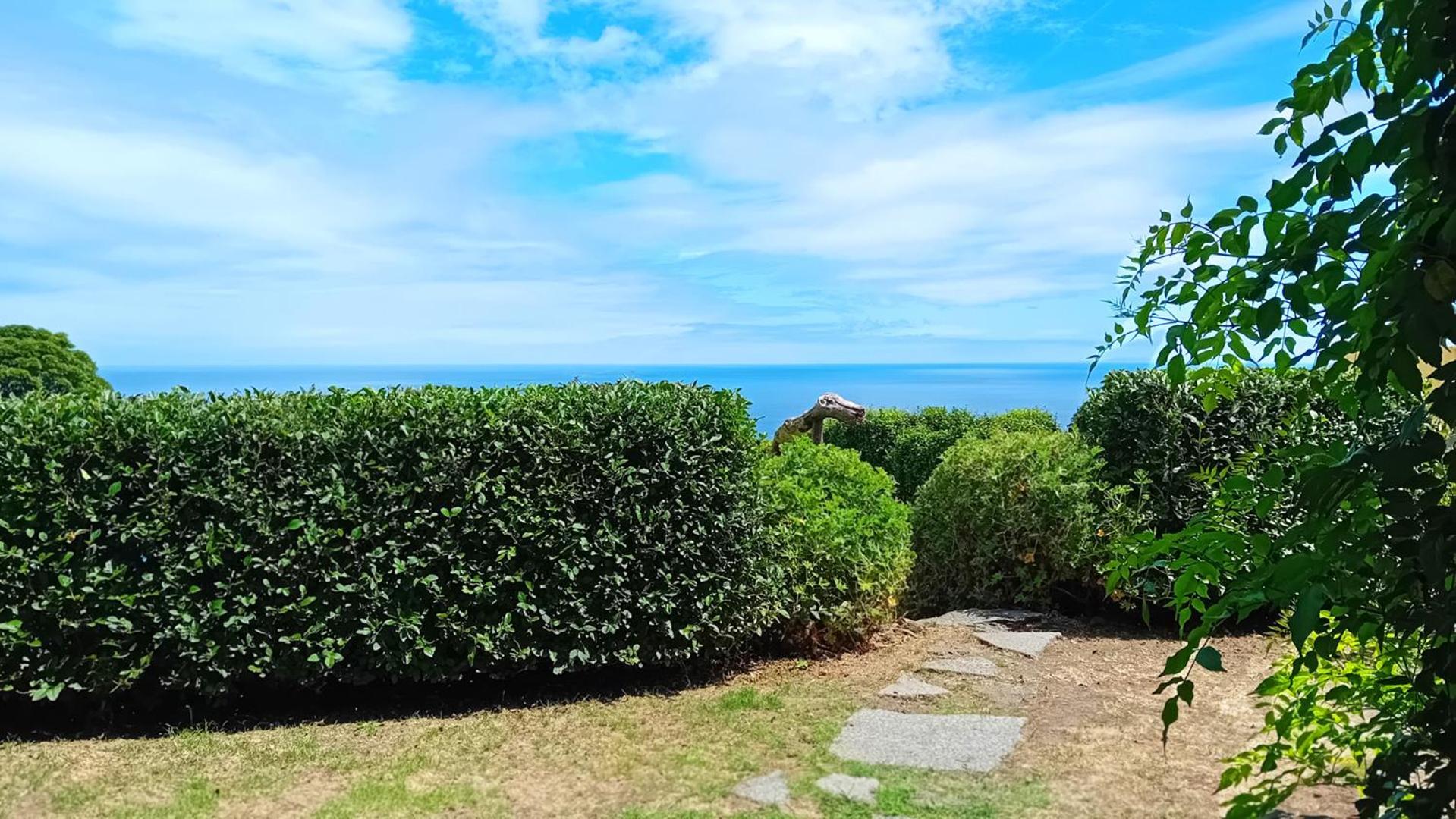 Faial Cottage B&B Cedros Exteriér fotografie