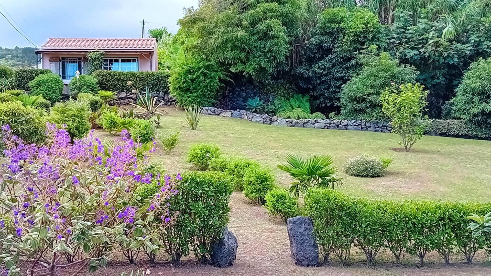 Faial Cottage B&B Cedros Exteriér fotografie
